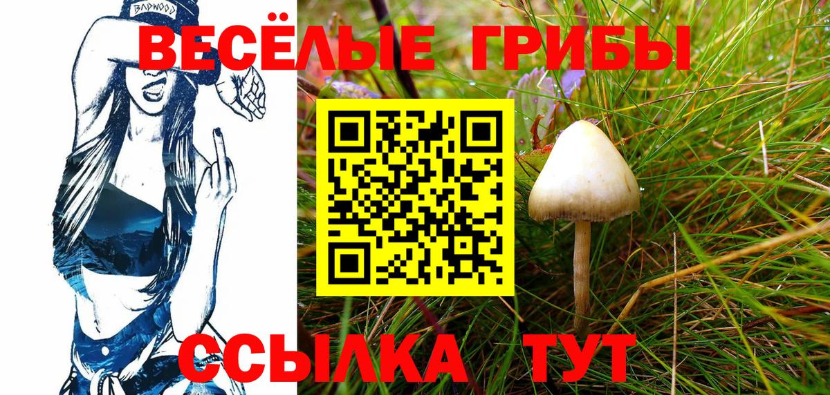 Галлюциногенные грибы GOLDEN TEACHER  Вход с VPN  Ачинск 